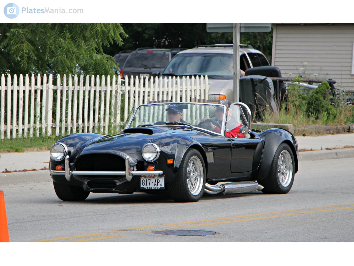 817-APJ, Excalibur Cobra 