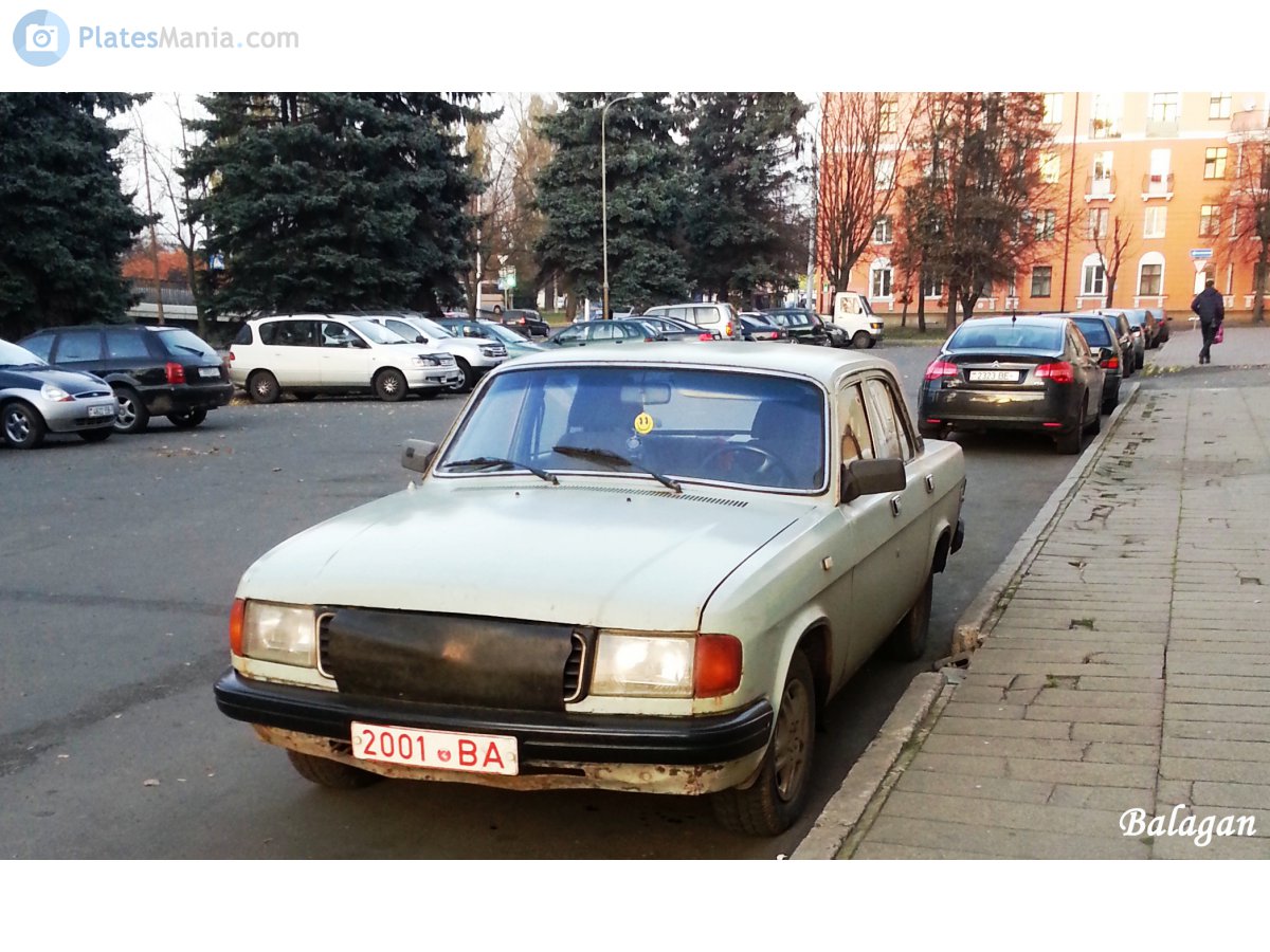 2001 BA, GAZ 31029 Волга 