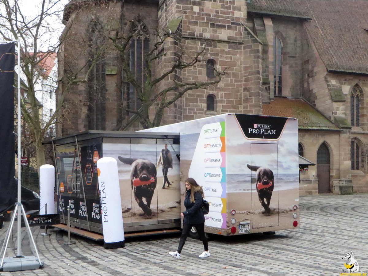 FRI GG 660, Regular plates 