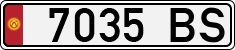 License plate of Kyrgyzstan, Organizations (1994)