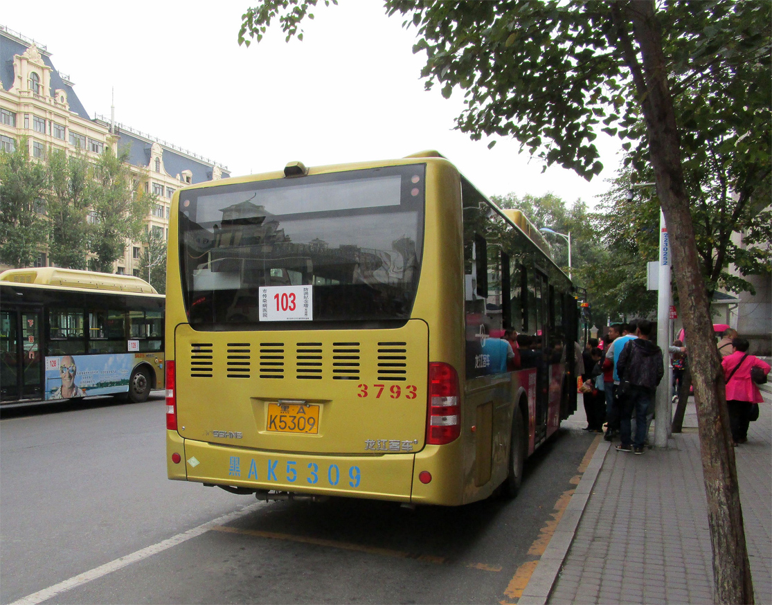 黑A·K5309, Yaxing JS-Series 