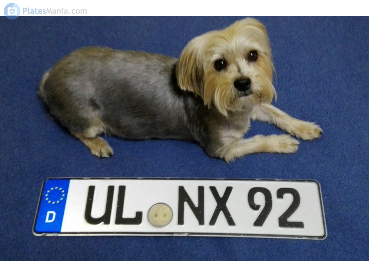 UL NX 92, License plate without vehicle 