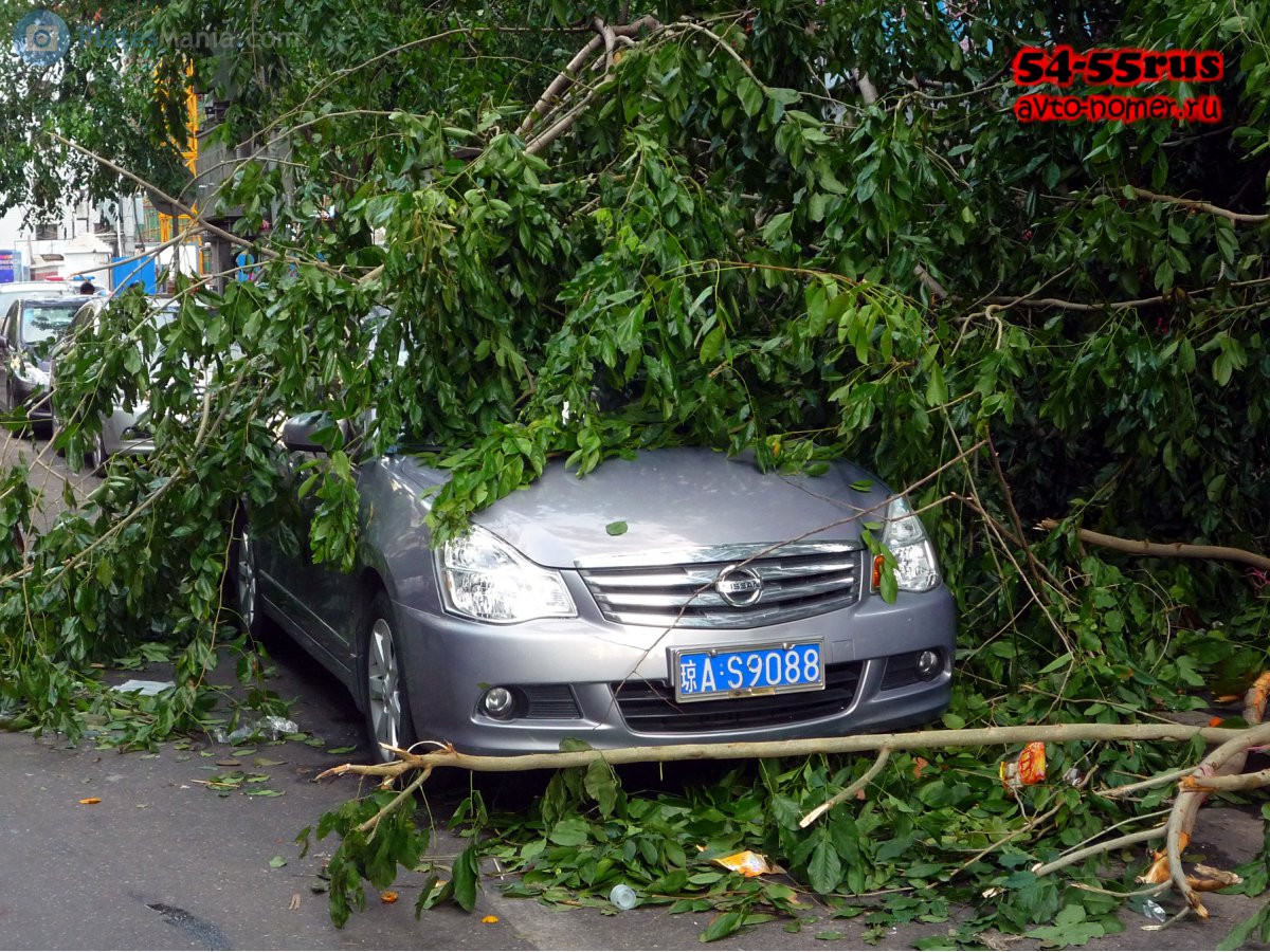 琼A·S9088, Nissan Bluebird Sylphy 2nd gen (G11), 2005–2012