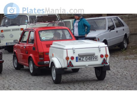 WZ 0489R, Niewiadów N250