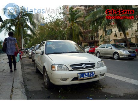 粤L·K5493, Suzuki Lingyang