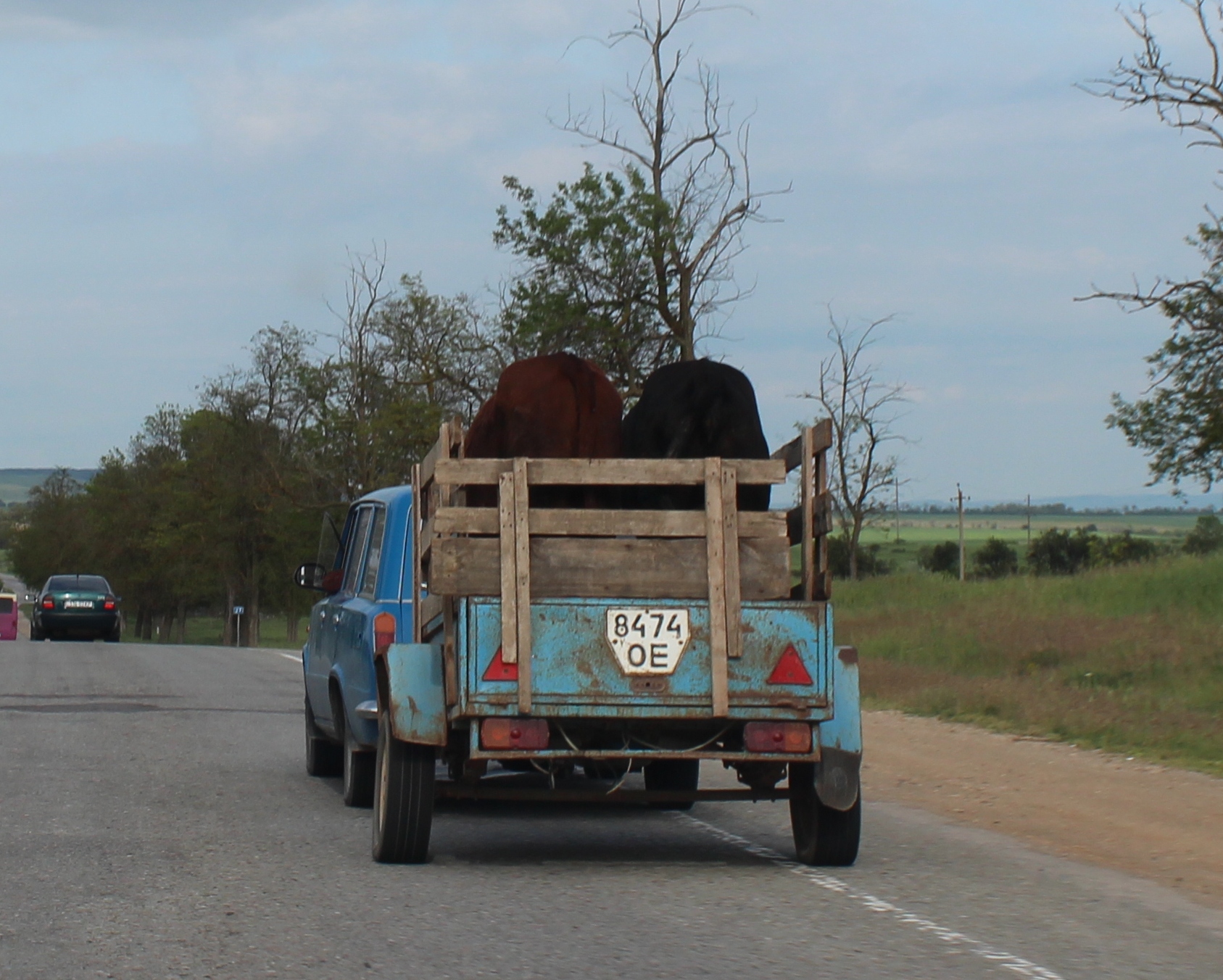 8474 ОЕ, ODAZ 8144 