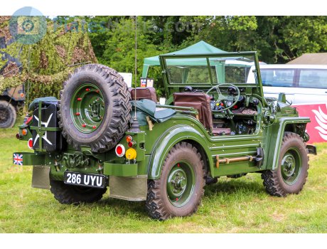 286 UYU, Austin Champ