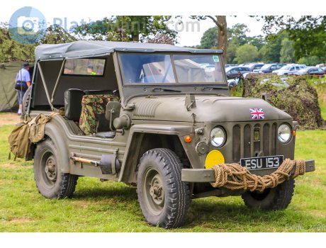 ESU 153, Austin Champ