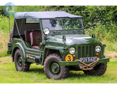 PUV 542F, Austin Champ