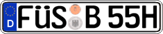German license plate, Plates for oldtimers (type 