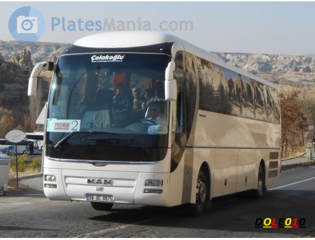 06 DC 8875, MAN Fortuna