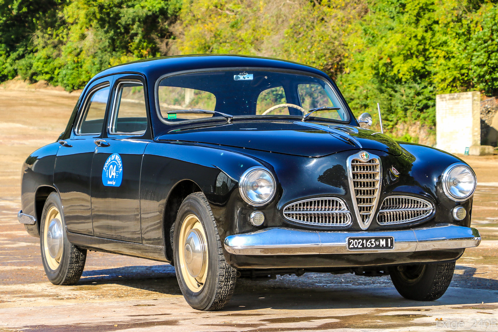 MI 202163, License plate without vehicle 