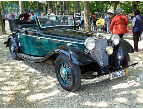 SAW 04920, Mercedes-Benz 290