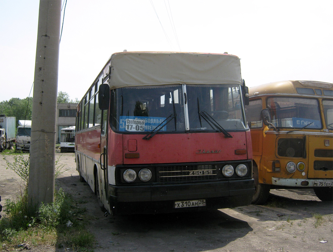 х 310 ан 28, Ikarus 250 