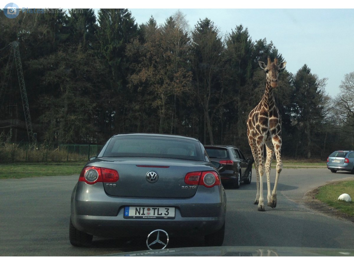 NI TL 3, Volkswagen Eos 1st gen (1F), 2006–2010