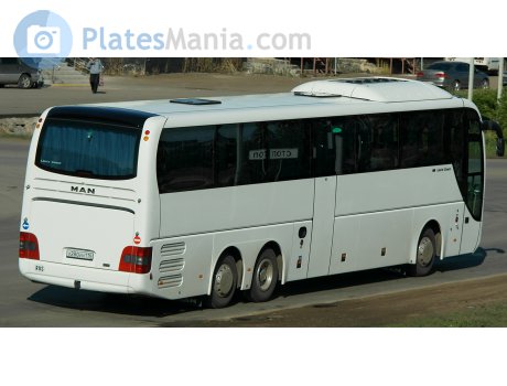 х280хн116, MAN Lion
