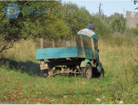 7736 КАС, TMZ Муравей