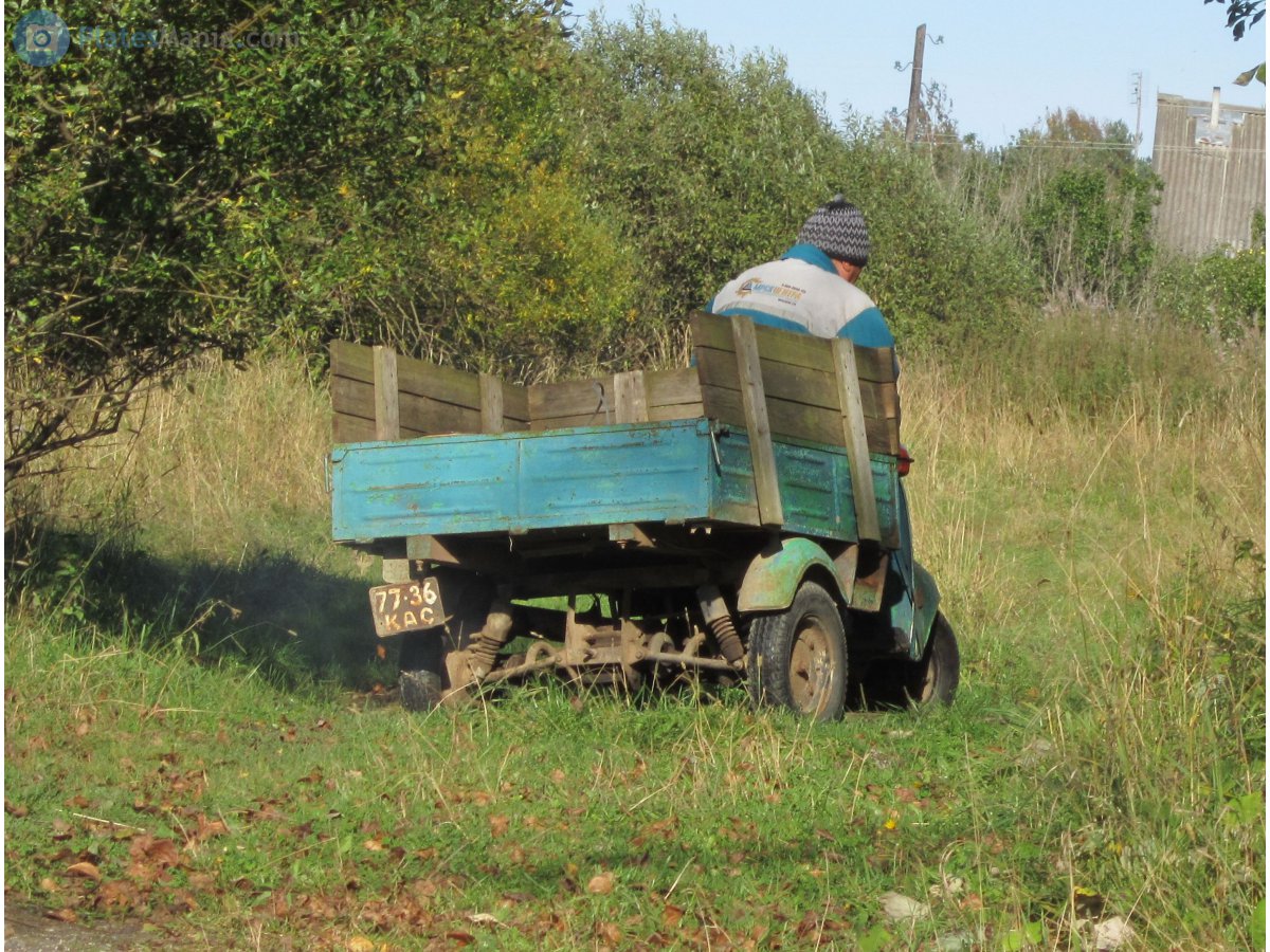 7736 КАС, TMZ Муравей 