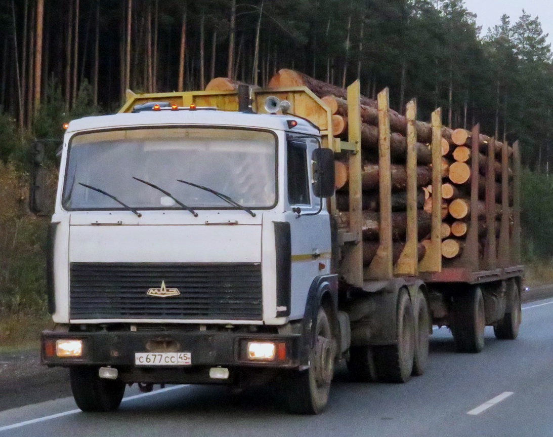 с 677 сс 45, MAZ 6303 