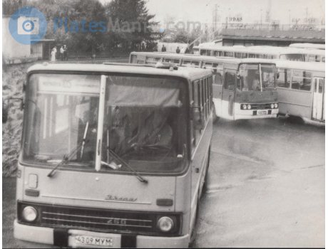 4309 МУМ, Ikarus 260