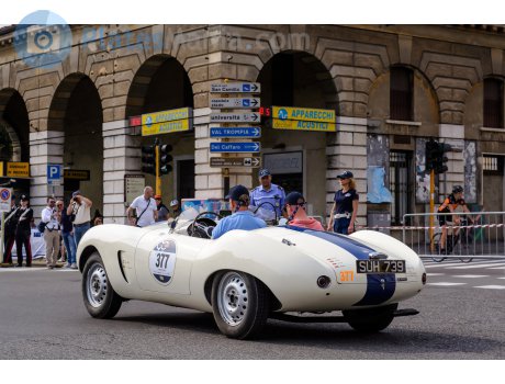 SUH 739, Arnolt Bristol