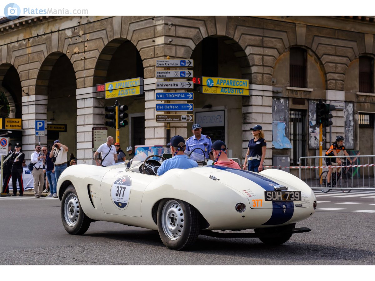 SUH739, Arnolt Bristol 