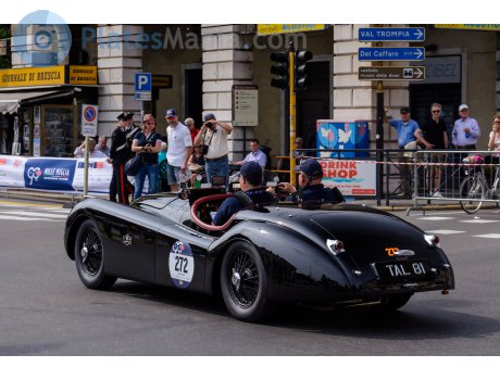 TAL 81, Jaguar XK120