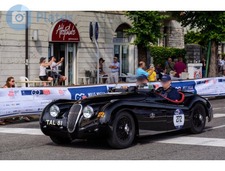 TAL 81, Jaguar XK120