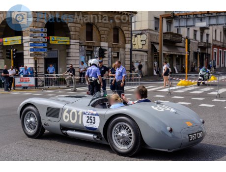 367 GMO, Jaguar C-Type