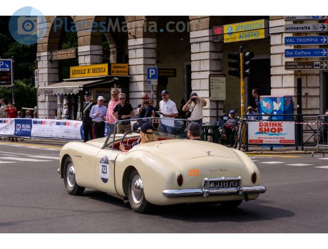 MGO 870, Nash Healey