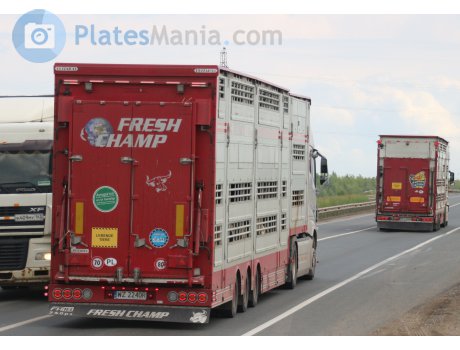 WZ 2240R, Pezzaioli SBA