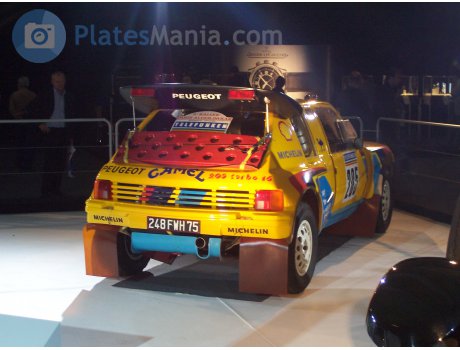 248 FWH 75, Peugeot 205