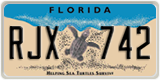 Florida, Specialty plates (XXX XXX)