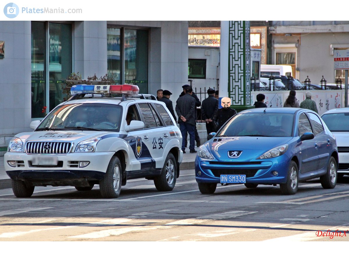 津N·SM330, Peugeot 207 (Compact/207i) 5-door Hatch (rebadged 206; LATAM/Asian-market), 2008–2014 (–present for IR-market)