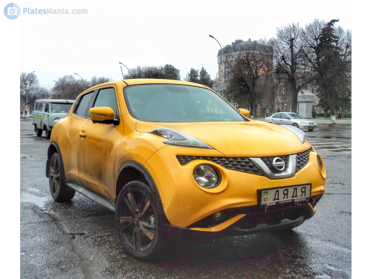 17 ДЯДЯ, Nissan Juke 1st gen (F15), facelift, 2014–2019