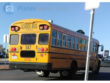 132-4567, Blue Bird Vision