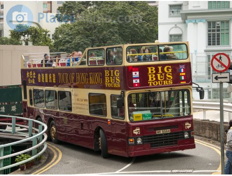 NR 6564, Dennis Dragon