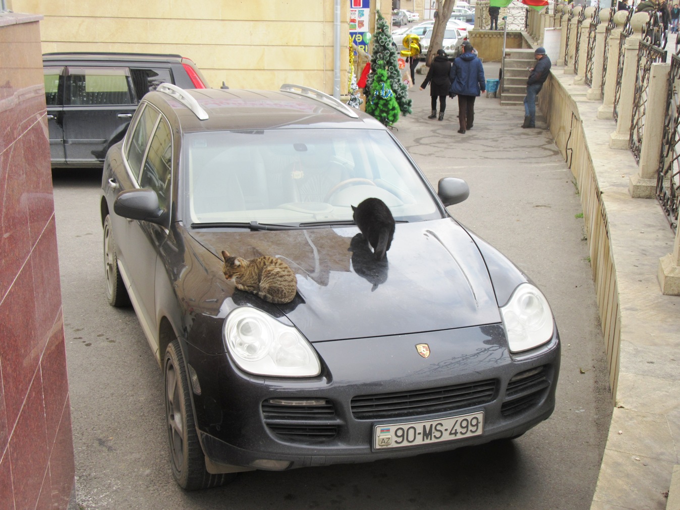 90 MS 499, Porsche Cayenne 1st gen (955; 9PA), 2002–2007