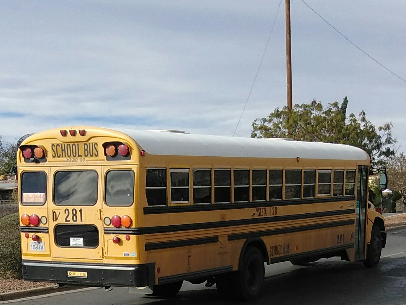 105-8938, Blue Bird Vision 