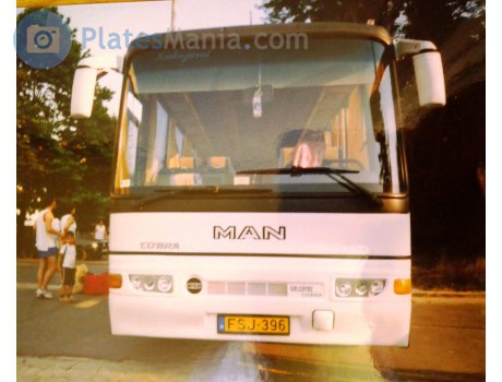 FSJ-396, Güleryüz Cobra