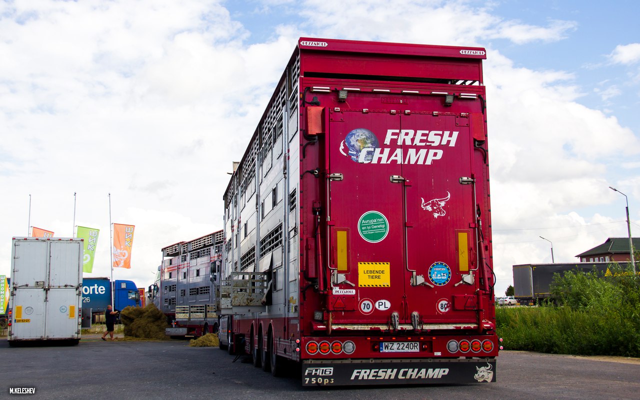 WZ 2240R, Pezzaioli SBA 