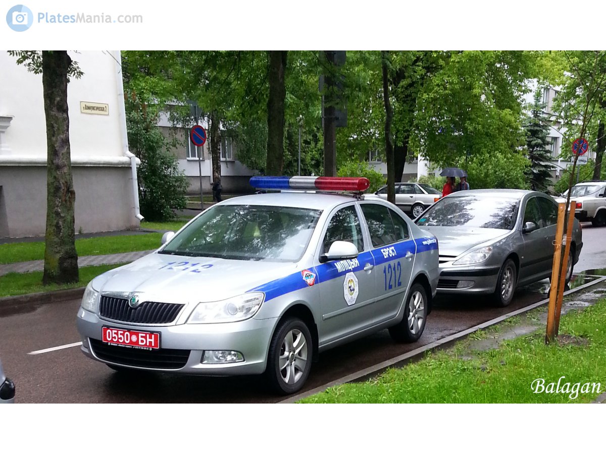 0550 БН, Skoda Octavia 2nd gen Liftback (A5/1Z3), facelift, 2009–2013