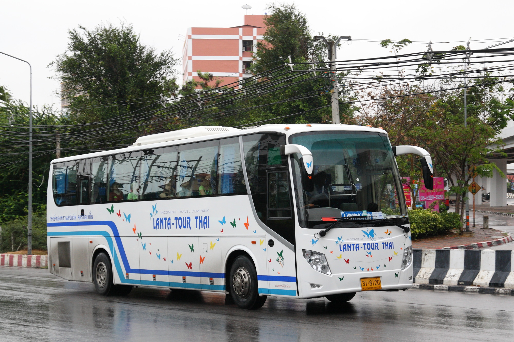 31-8120, Golden Dragon XML6129 