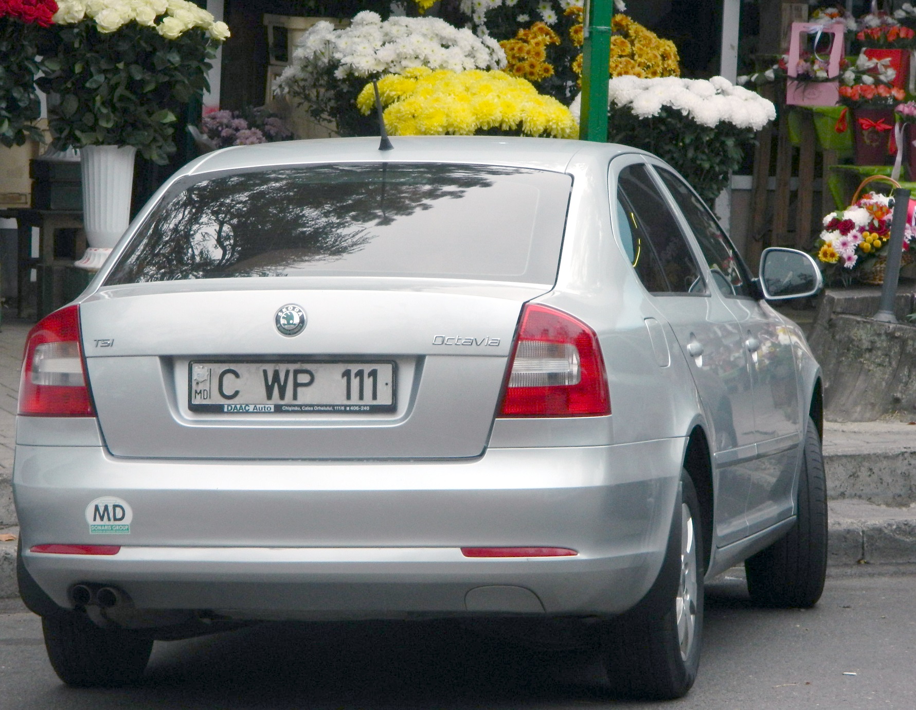 C WP 111, Skoda Octavia 