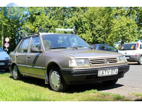 ATV-074, Peugeot 309