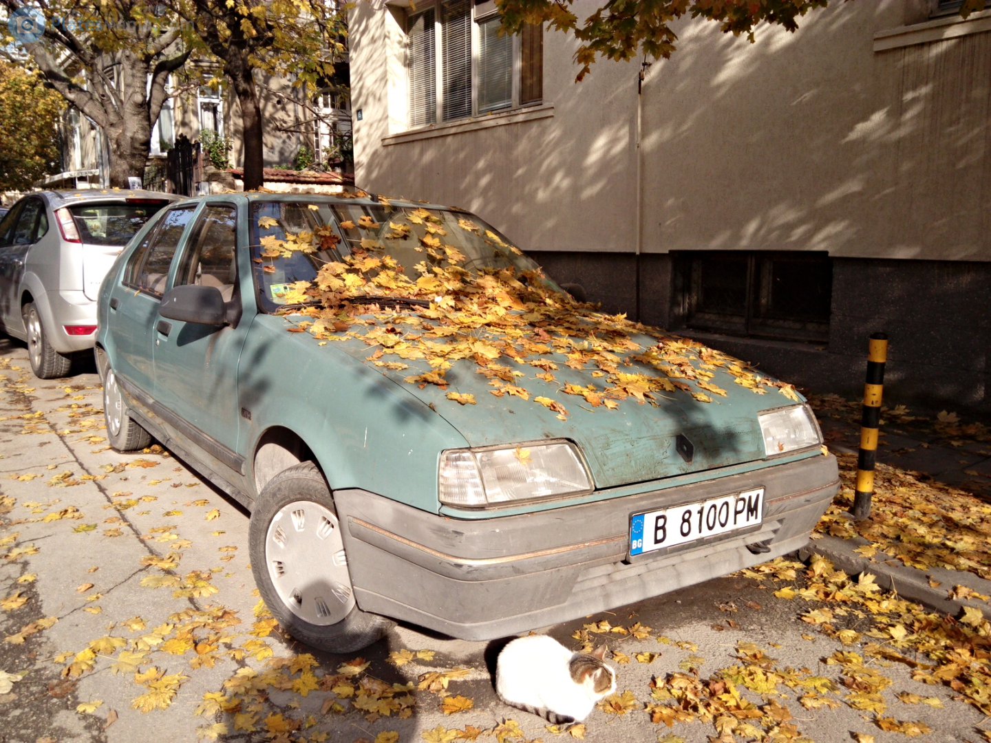 B 8100 PM, Renault 19 1st gen 5-door Hatch (B53), 1988–1992