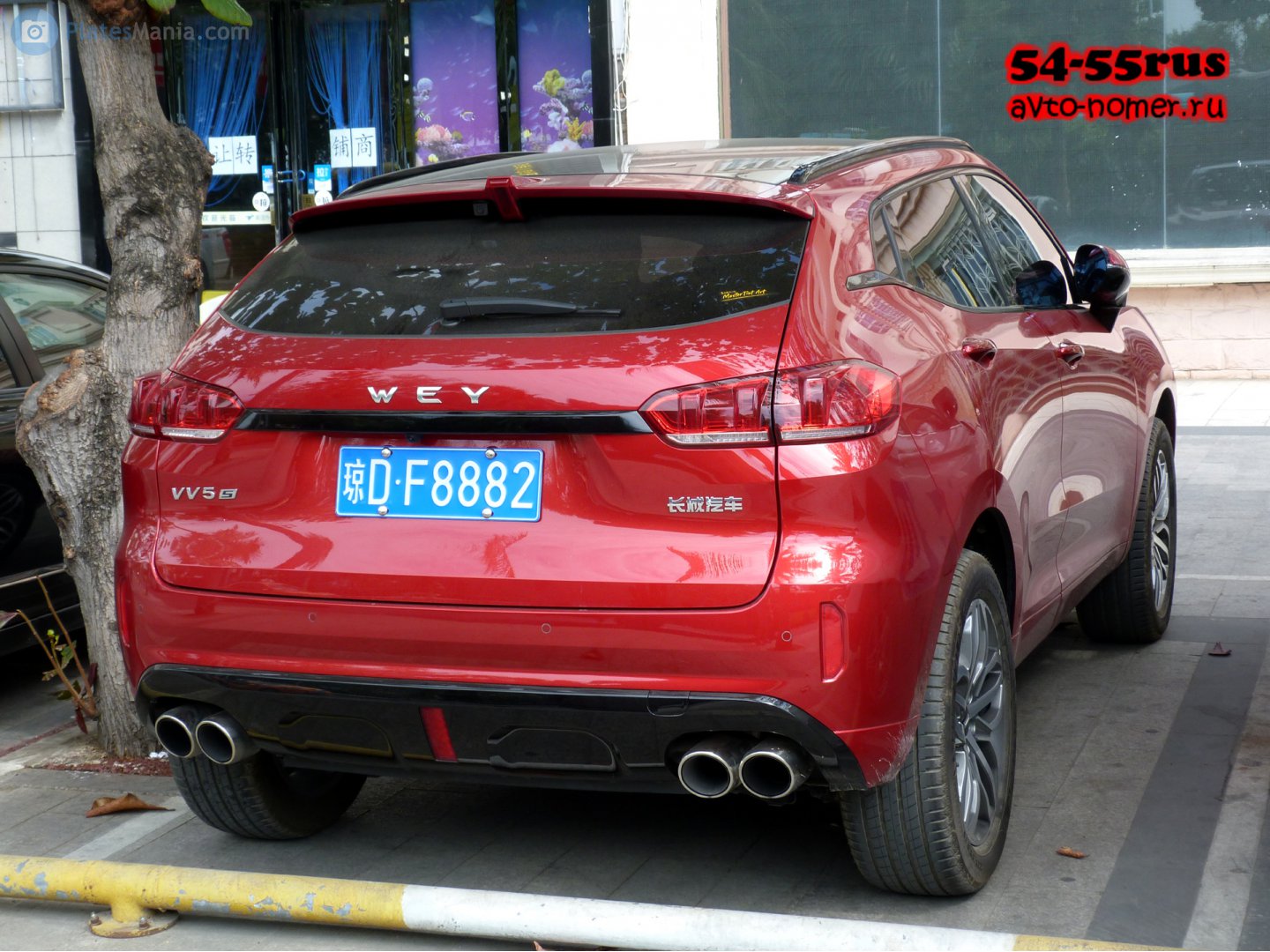 琼D·F8882, WEY VV5 