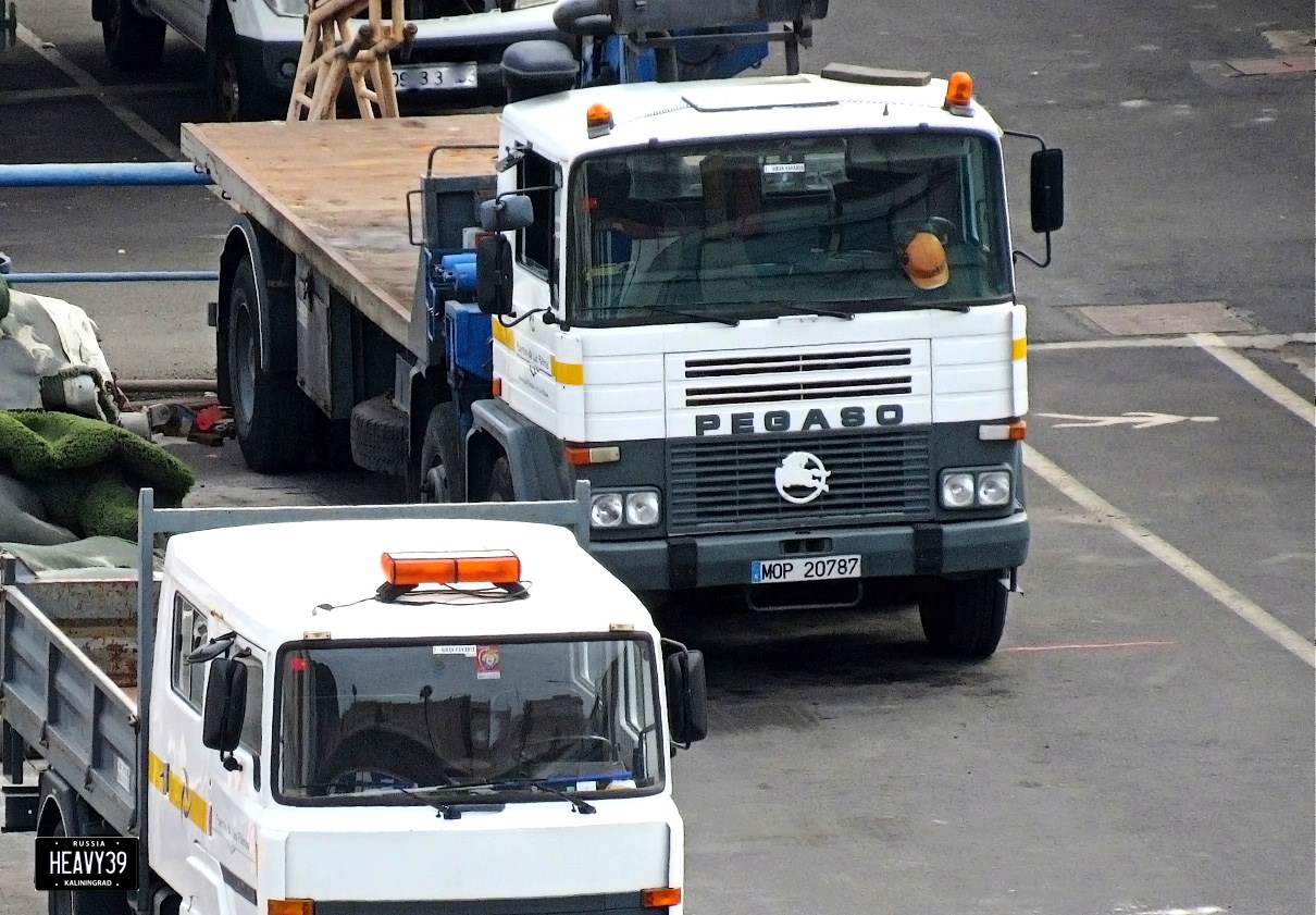 MOP 20787, Pegaso Tecno 