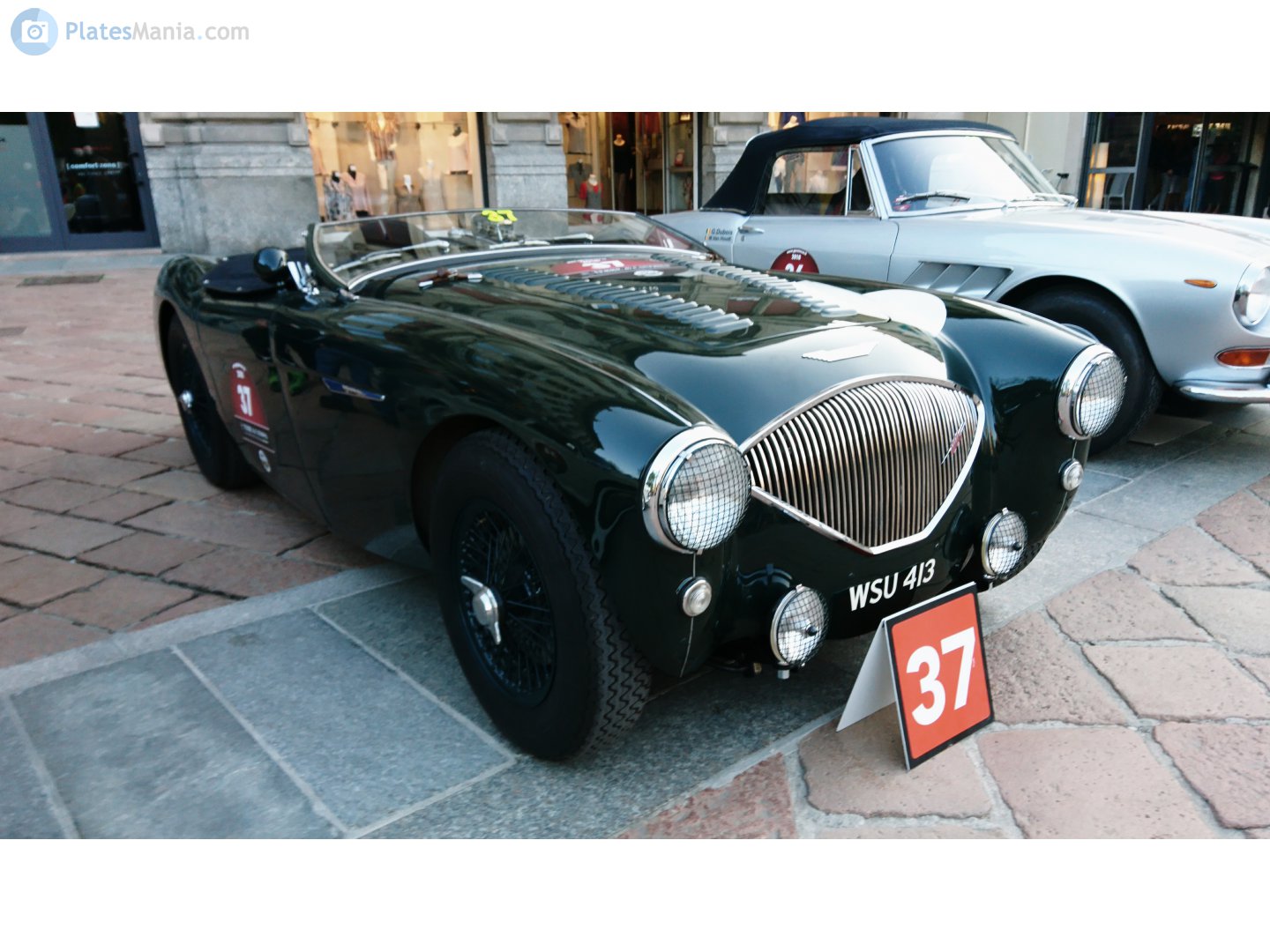 WSU413, Austin-Healey 100/3000 