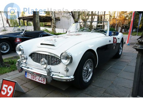 1-OBS-448, Austin-Healey 100/3000